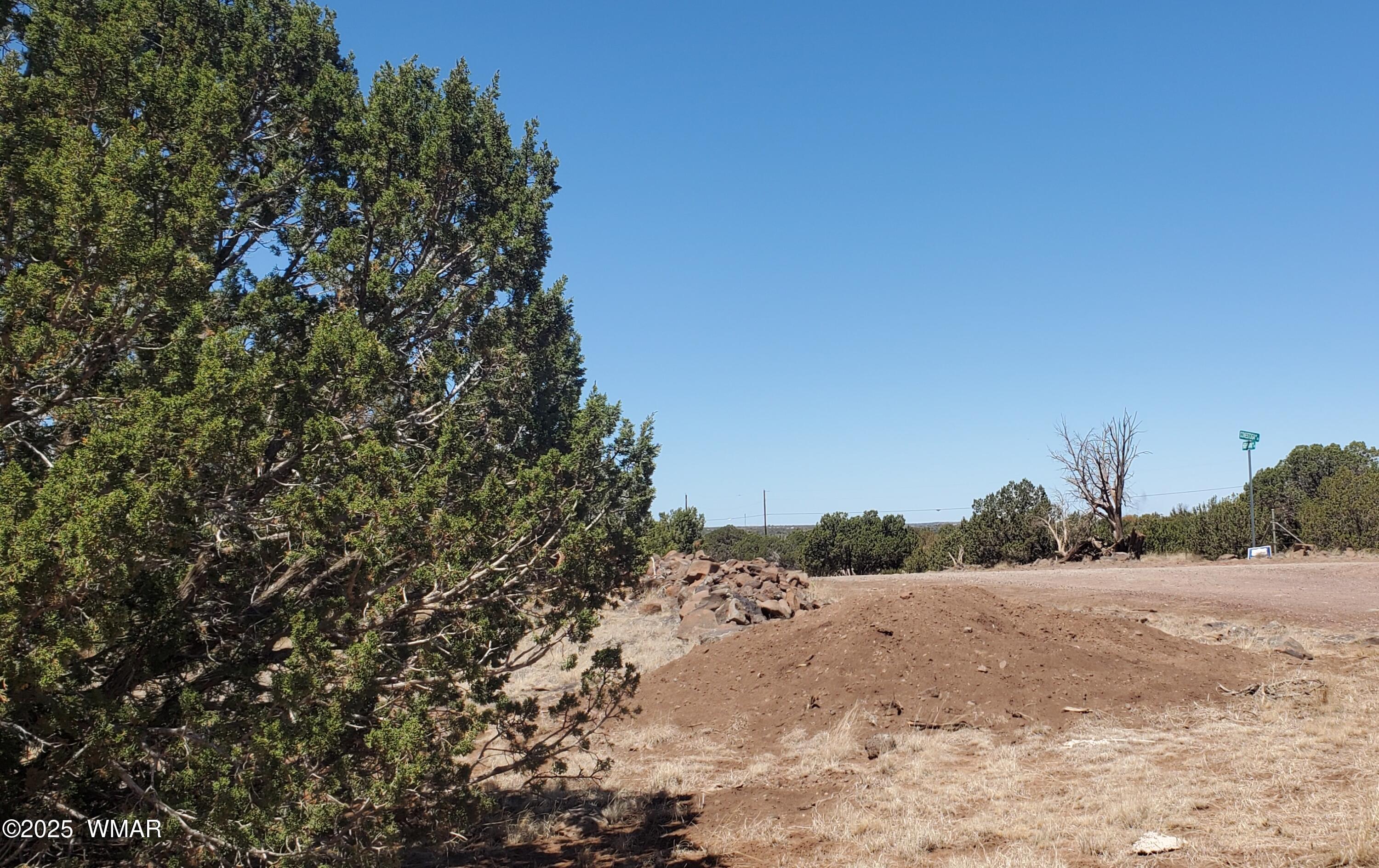 Tbd Highplains Road Show Low, AZ 85901 - Photo 14 of 14 20250725_111055