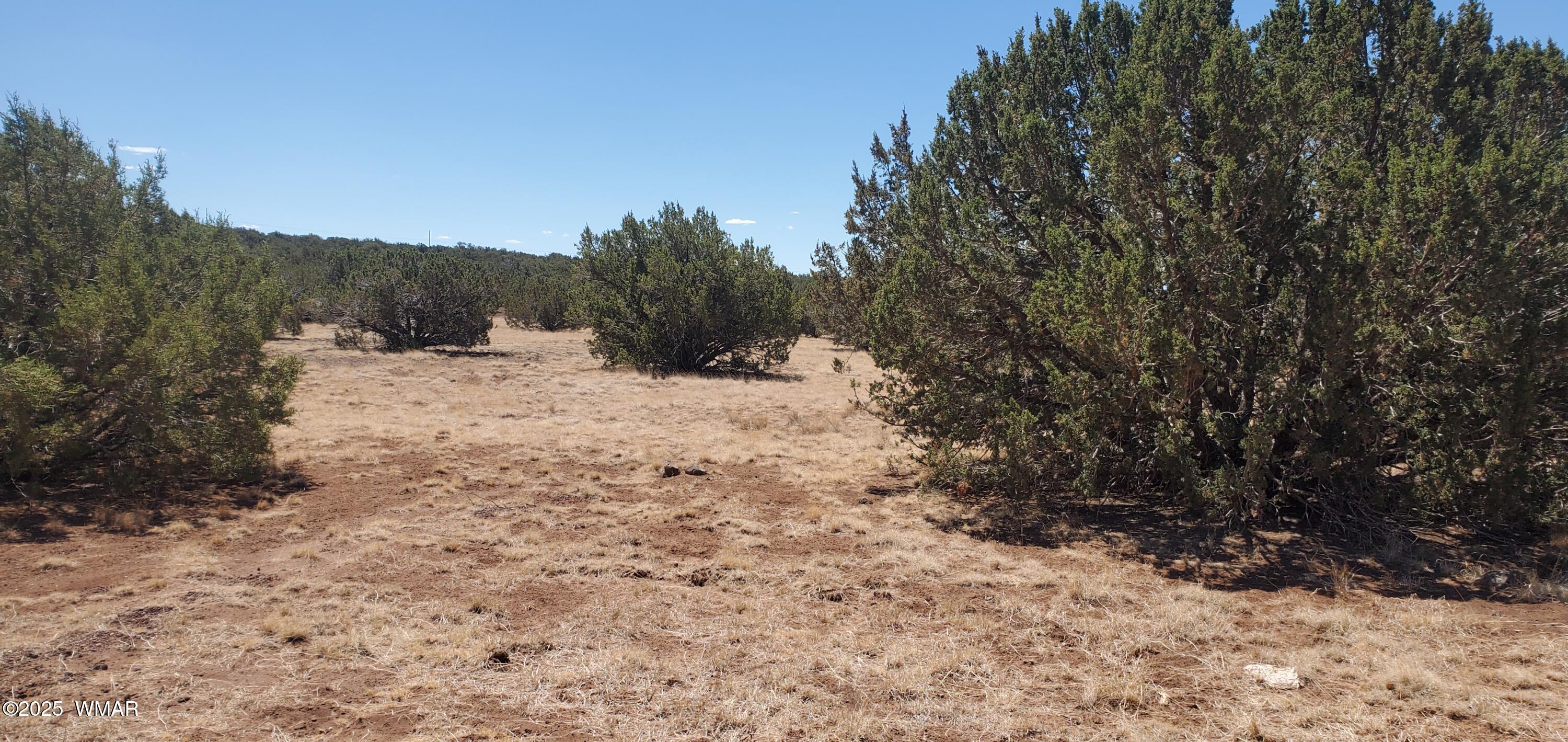 Tbd Highplains Road Show Low, AZ 85901 - Photo 2 of 14 20250725_110423
