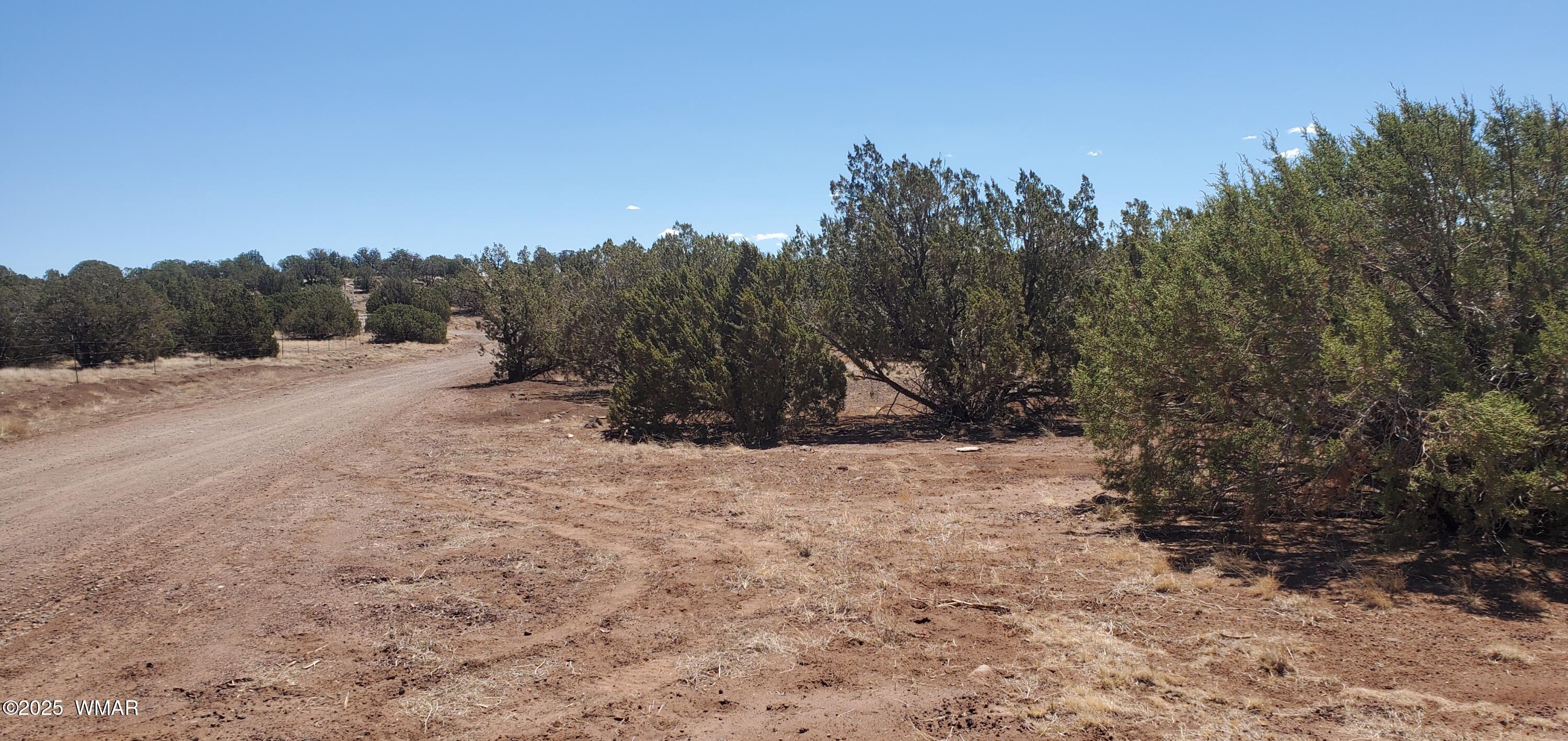 Tbd Highplains Road Show Low, AZ 85901 - Photo 3 of 14 20250725_110431