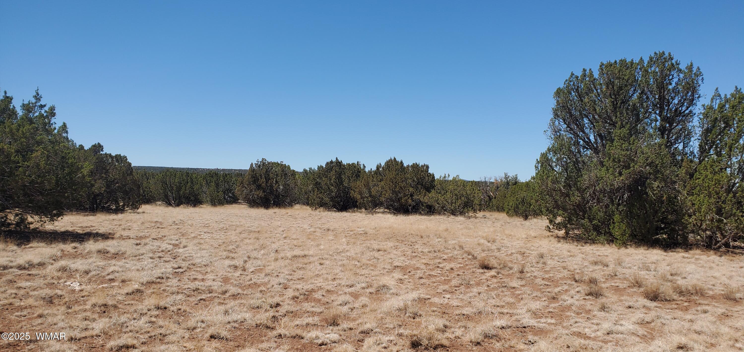 Tbd Highplains Road Show Low, AZ 85901 - Photo 4 of 14 20250725_110507