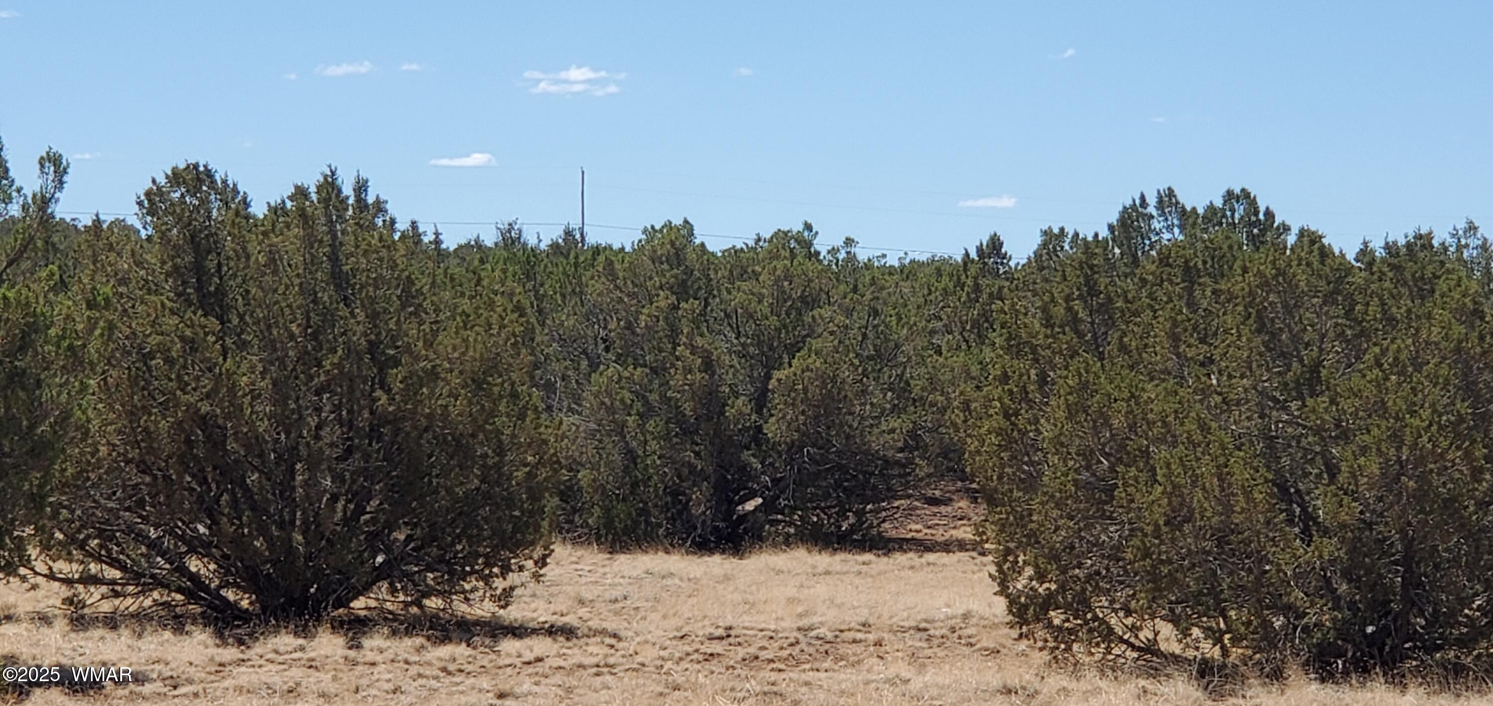 Tbd Highplains Road Show Low, AZ 85901 - Photo 5 of 14 20250725_110800