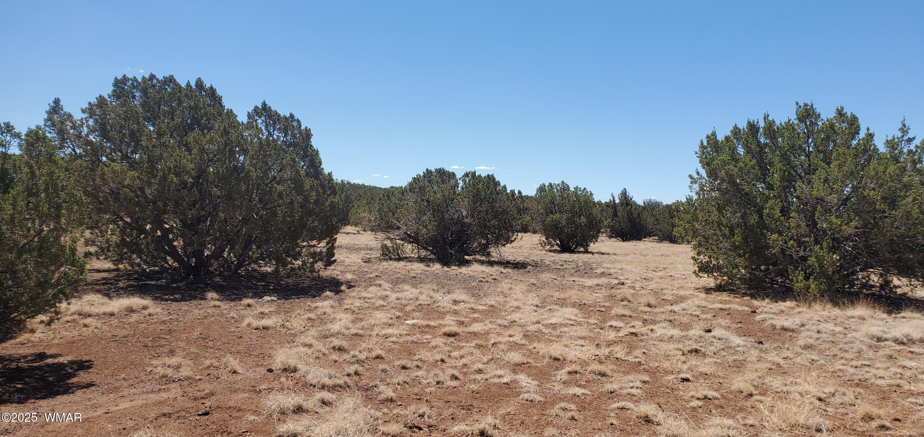 Tbd Highplains Road Show Low, AZ 85901 - Photo 6 of 14 20250725_110510