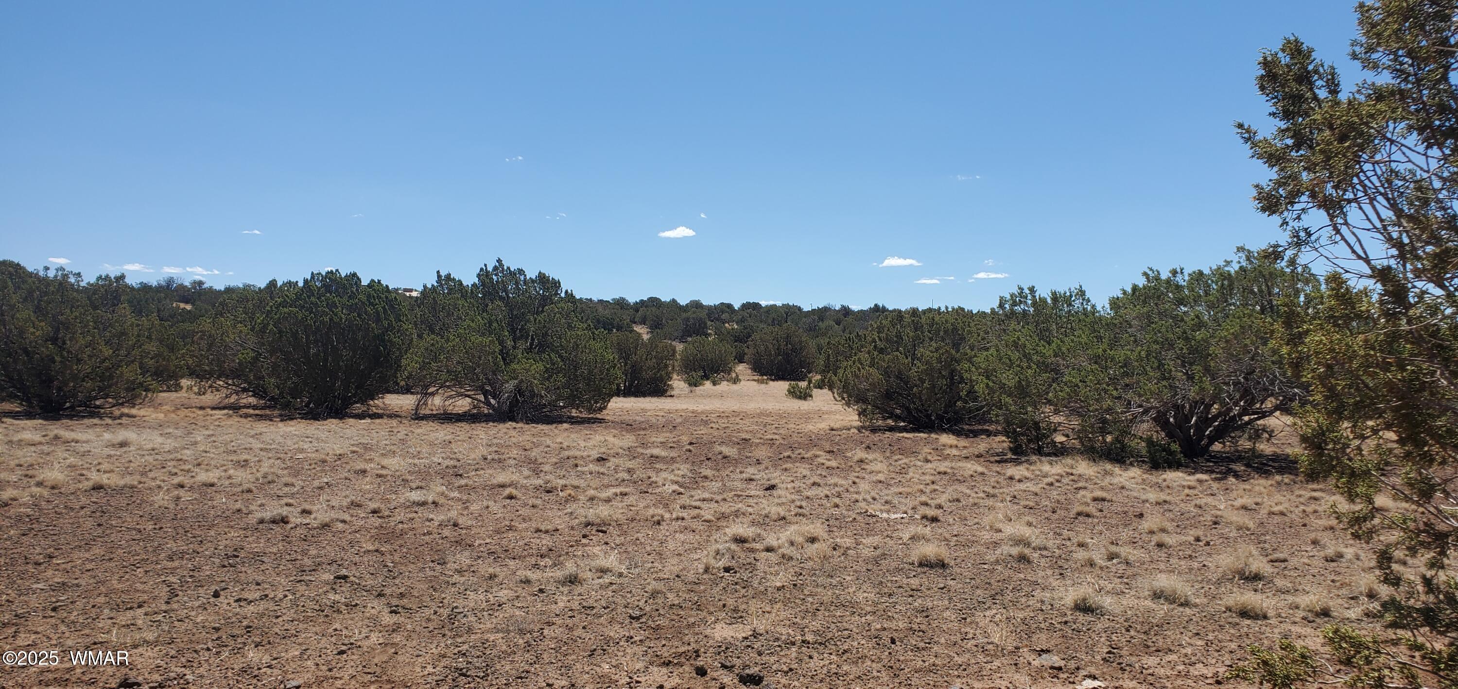 Tbd Highplains Road Show Low, AZ 85901 - Photo 8 of 14 20250725_110537