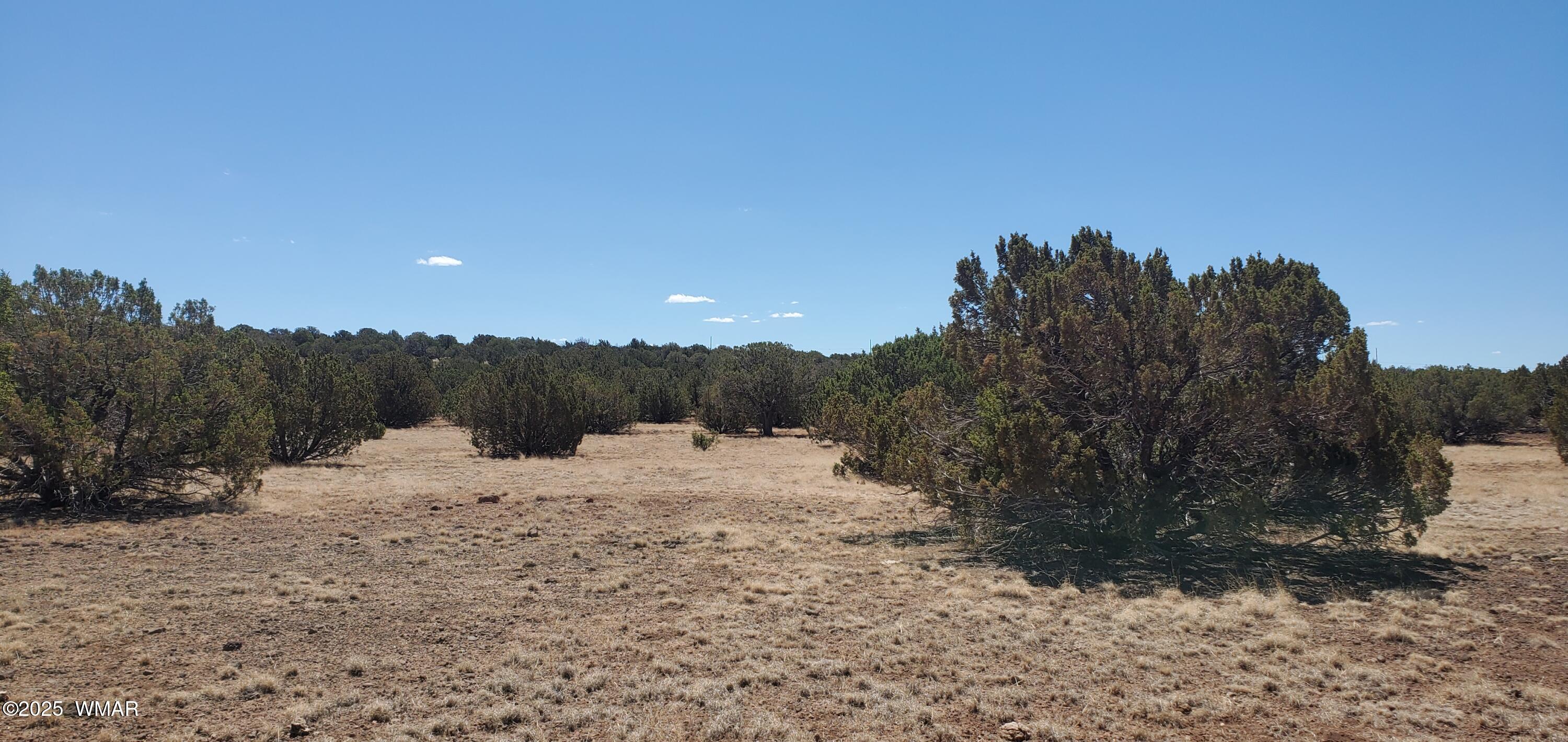 Tbd Highplains Road Show Low, AZ 85901 - Photo 10 of 14 20250725_110618