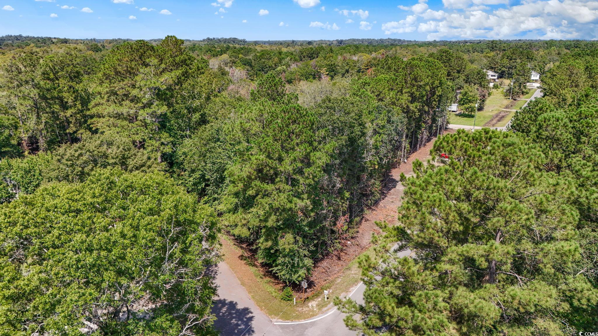 2027 Lees Landing Circle Conway, SC 29526 - Photo 3 of 13