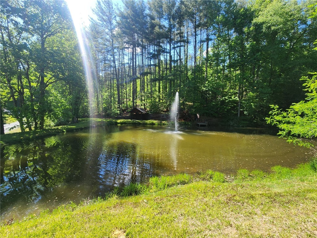 149 River Spring Road Sugar Grove, NC 28679 - Photo 26 of 38