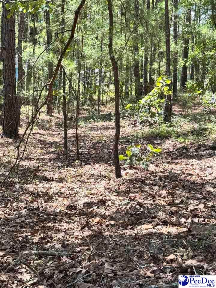 Tbd Tbd Sailclub Road Cheraw, SC 29520 - Photo 1 of 5 Gallery Image 1