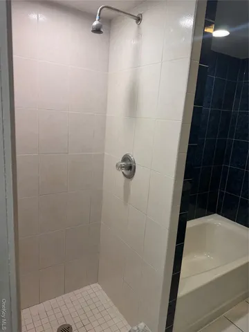 a bathroom with a bathtub