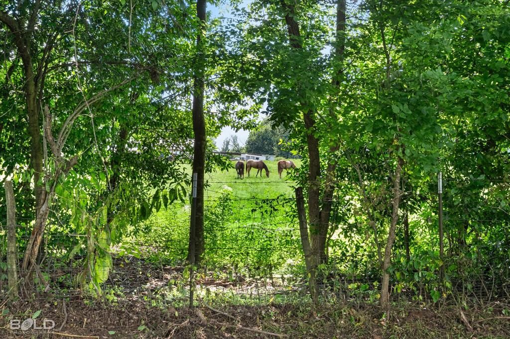 323 Butler Road Belcher, LA 71004 - Photo 30 of 33