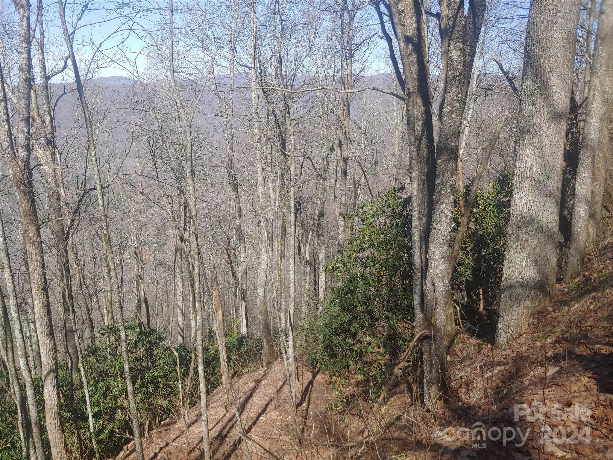 34 Barn Cove Road Clyde, NC 28721 - Photo 2 of 2