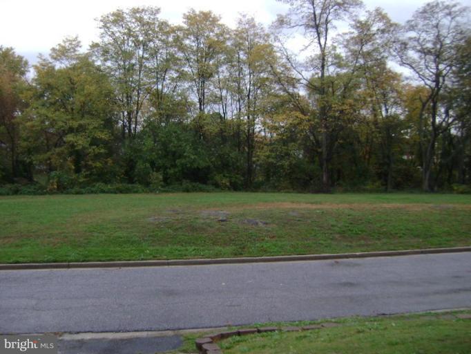 a view of a park