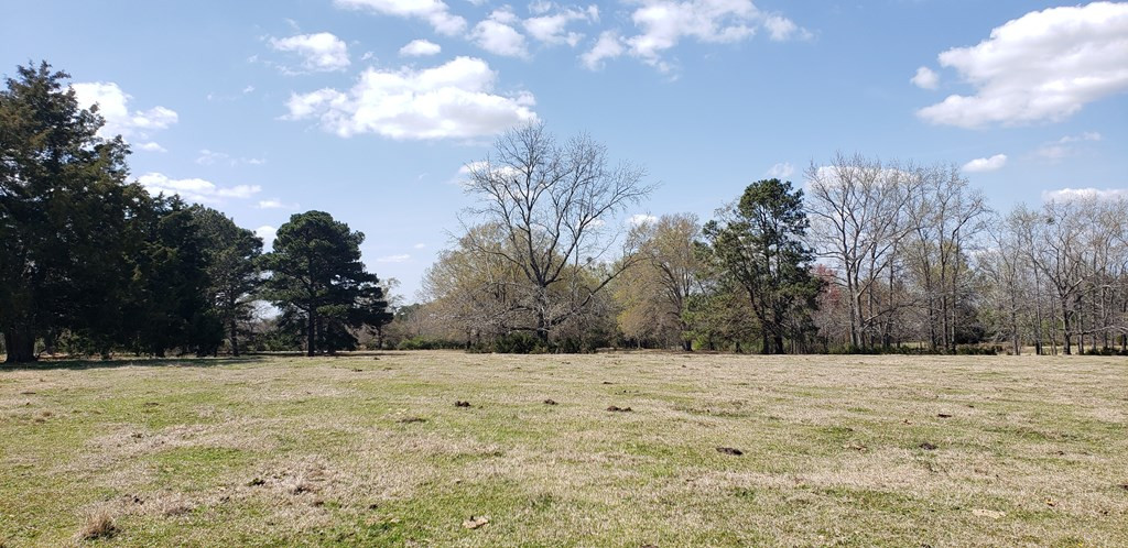 716 Augusta Road Edgefield, SC 29824 - Photo 22 of 27