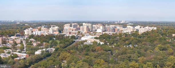 930 Wayne Avenue, Unit 1001 Silver Spring, MD 20910 - Photo 19 of 28 Silver Spring Skyline