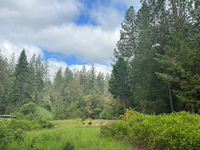 4196 East Evans Creek Road Rogue River, OR 97537 - Photo 3 of 36 a view of a garden
