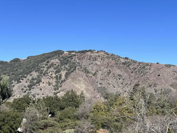 a view of a mountain range with trees in the background