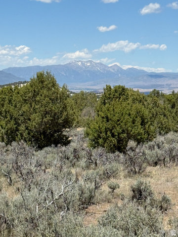 8 East Hollow Road, Unit 8 Spring City, UT 84662 - Photo 3 of 9