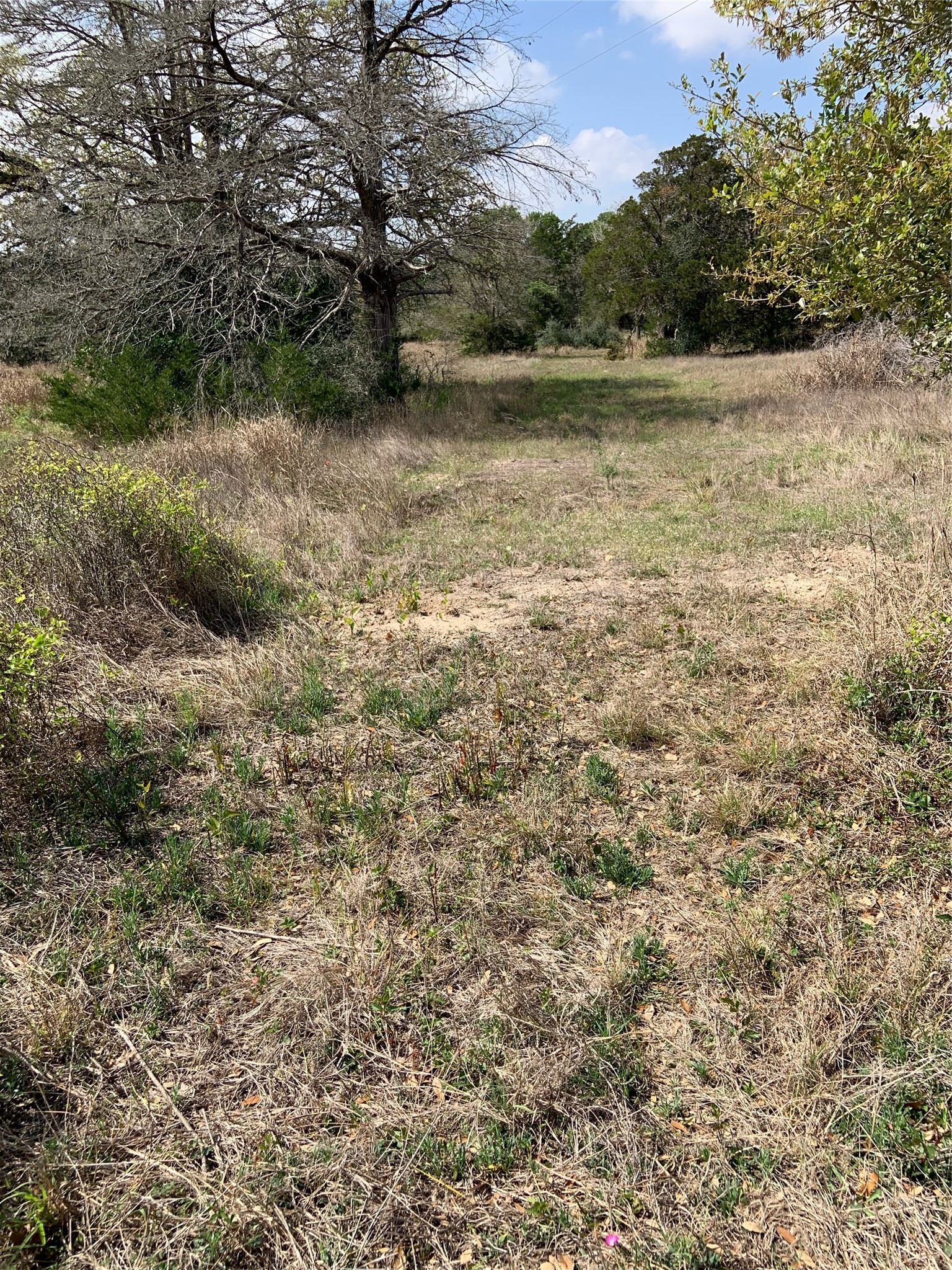 Tbd Goehring Road Ledbetter, TX 78946 - Photo 6 of 8
