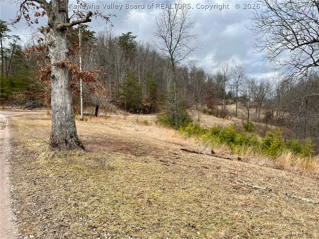 1127 Zion Ridge Ripley, WV 25271 - Photo 43 of 50 Gallery Image 43