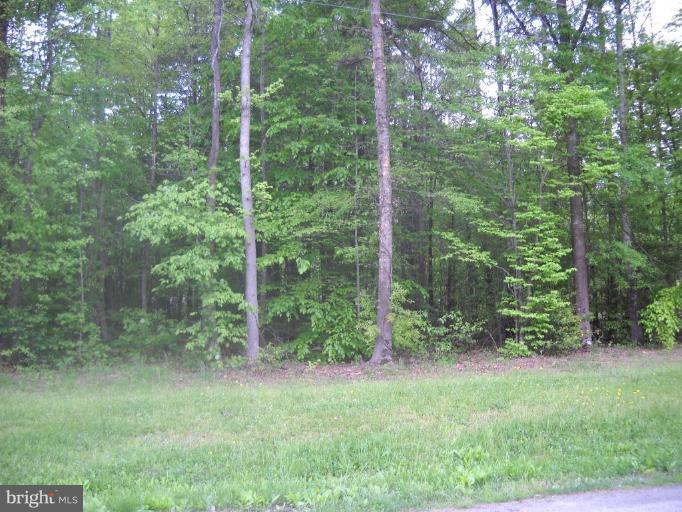 485 Longleaf Road Ruther Glen, VA 22546 - Photo 1 of 3 Longleaf lot...very pretty!!
