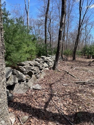 235 Yew Street Douglas, MA 01516 - Photo 11 of 11 a view of a forest with trees