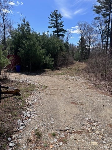 235 Yew Street Douglas, MA 01516 - Photo 3 of 11 a view of a yard