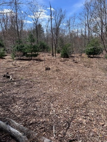 235 Yew Street Douglas, MA 01516 - Photo 5 of 11 a view of backyard with green space