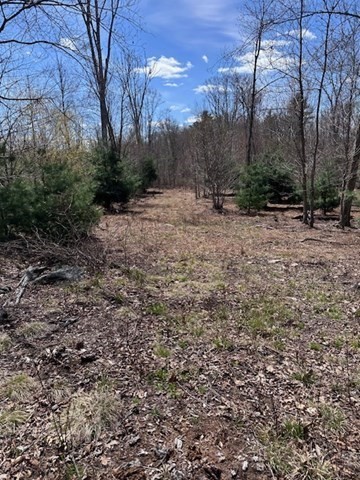 235 Yew Street Douglas, MA 01516 - Photo 6 of 11 a view of a outdoor space