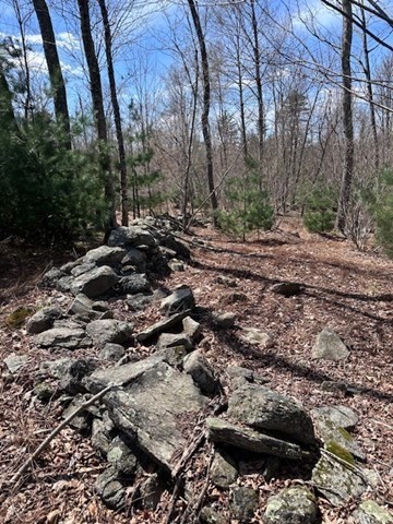 235 Yew Street Douglas, MA 01516 - Photo 7 of 11 a view of a forest with trees