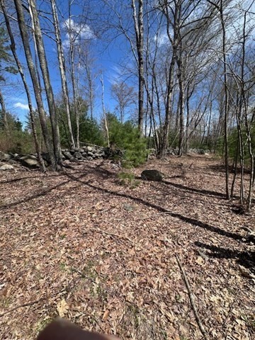 235 Yew Street Douglas, MA 01516 - Photo 10 of 11 a view of a yard with plants