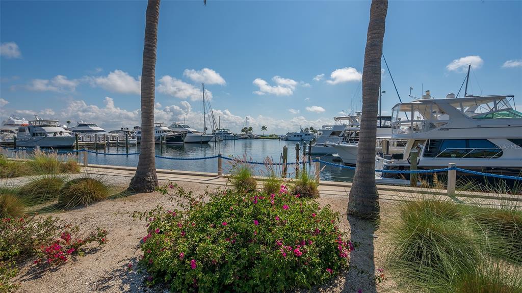 1932 Harbourside Drive, Unit 244 Longboat Key, FL 34228 - Photo 56 of 64