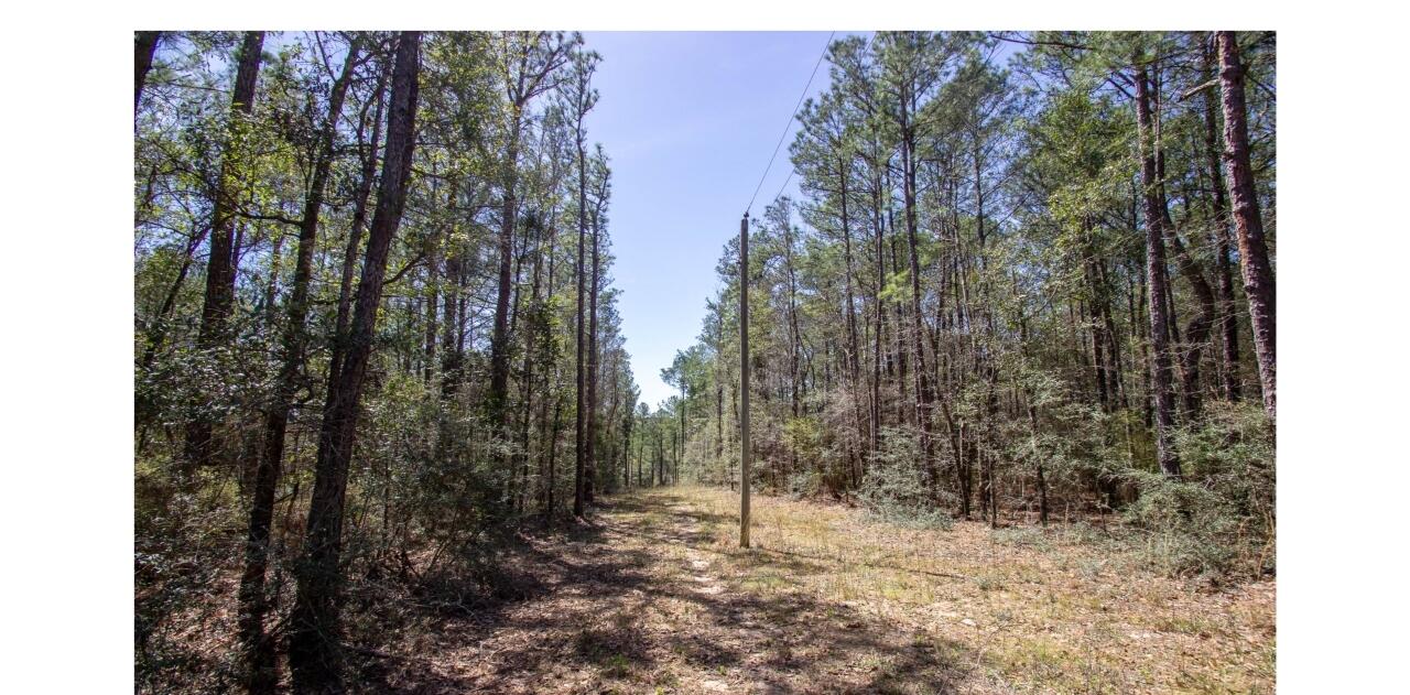 0 Crowder Chapel Road DeFuniak Springs, FL 32433 - Photo 17 of 20