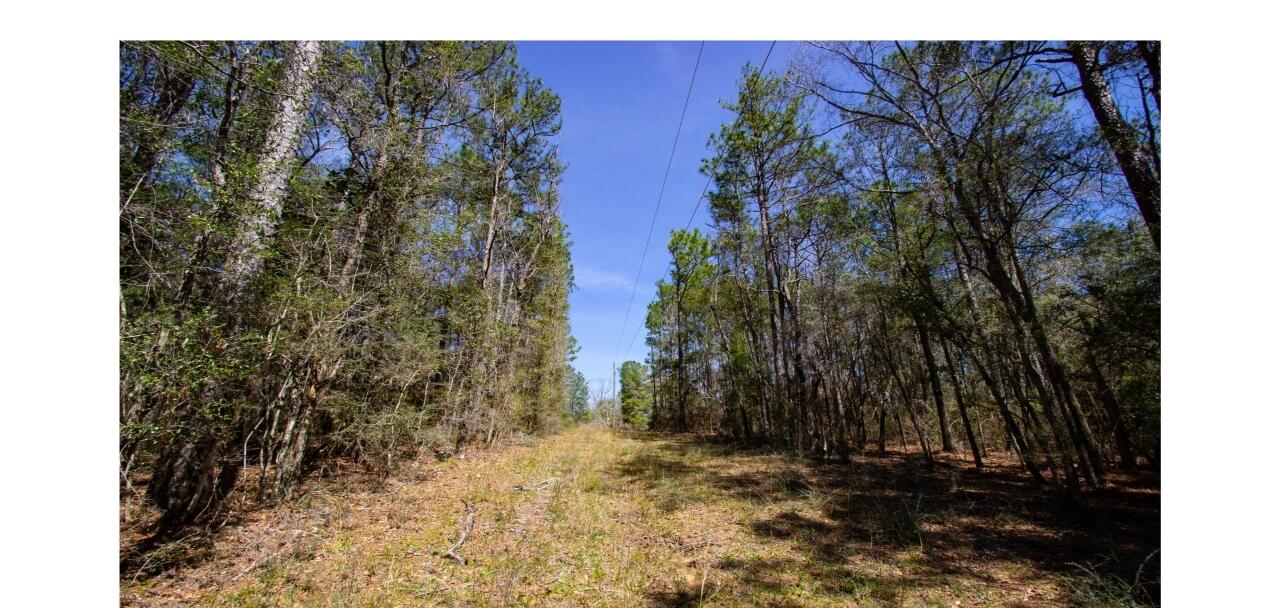 0 Crowder Chapel Road DeFuniak Springs, FL 32433 - Photo 18 of 20