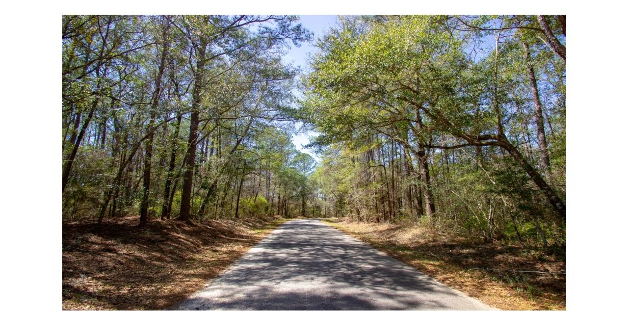 0 Crowder Chapel Road DeFuniak Springs, FL 32433 - Photo 19 of 20