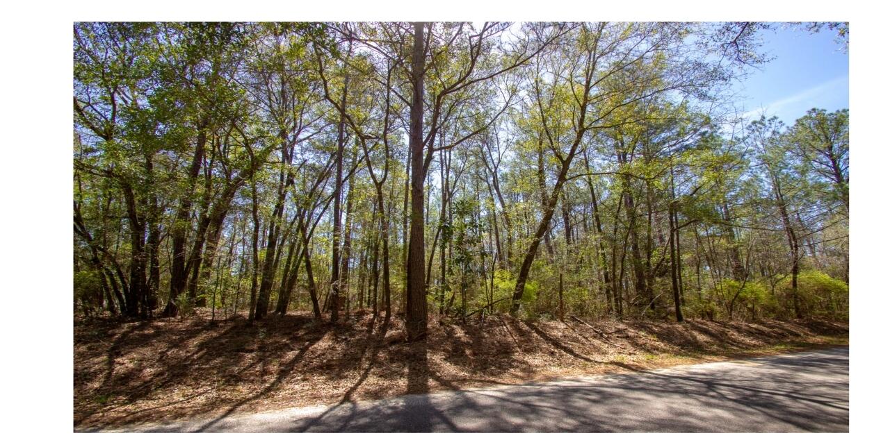 0 Crowder Chapel Road DeFuniak Springs, FL 32433 - Photo 20 of 20
