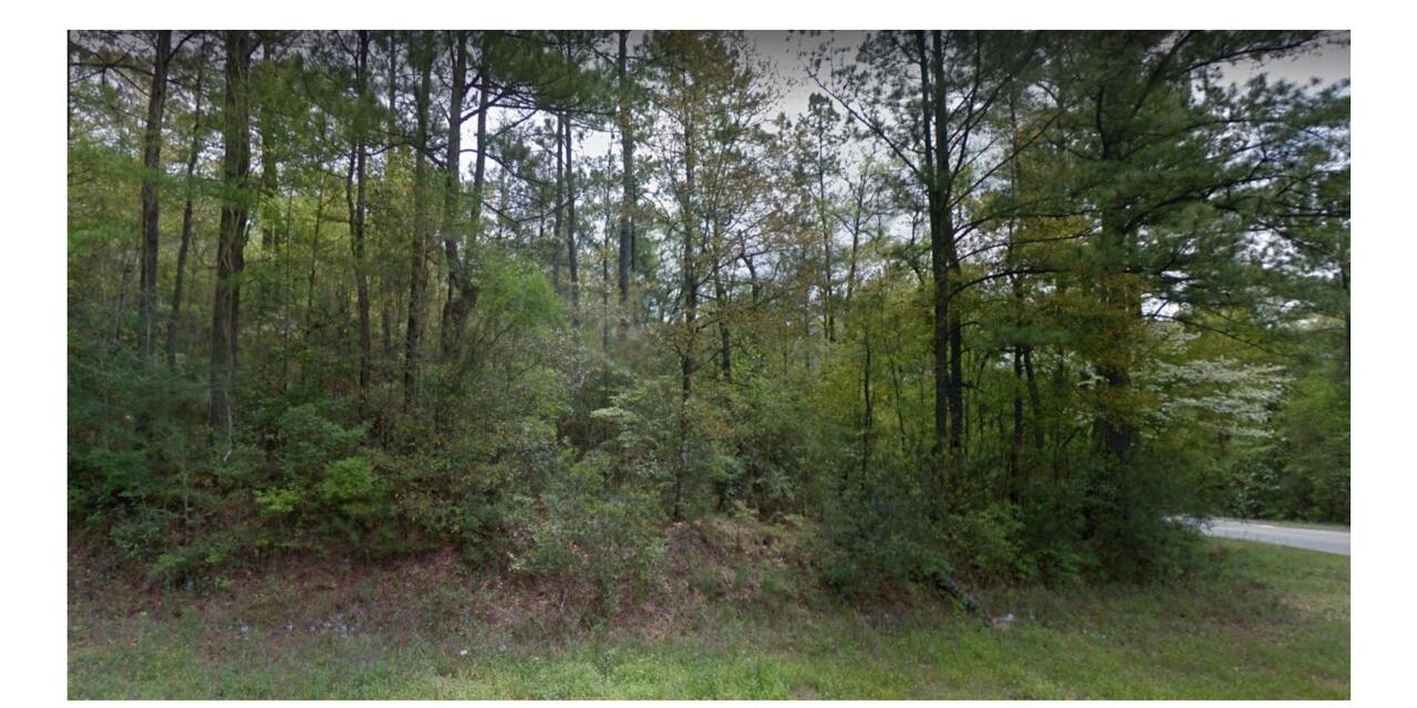 0 Crowder Chapel Road DeFuniak Springs, FL 32433 - Photo 4 of 20