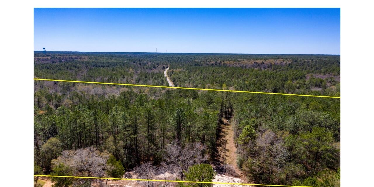 0 Crowder Chapel Road DeFuniak Springs, FL 32433 - Photo 6 of 20