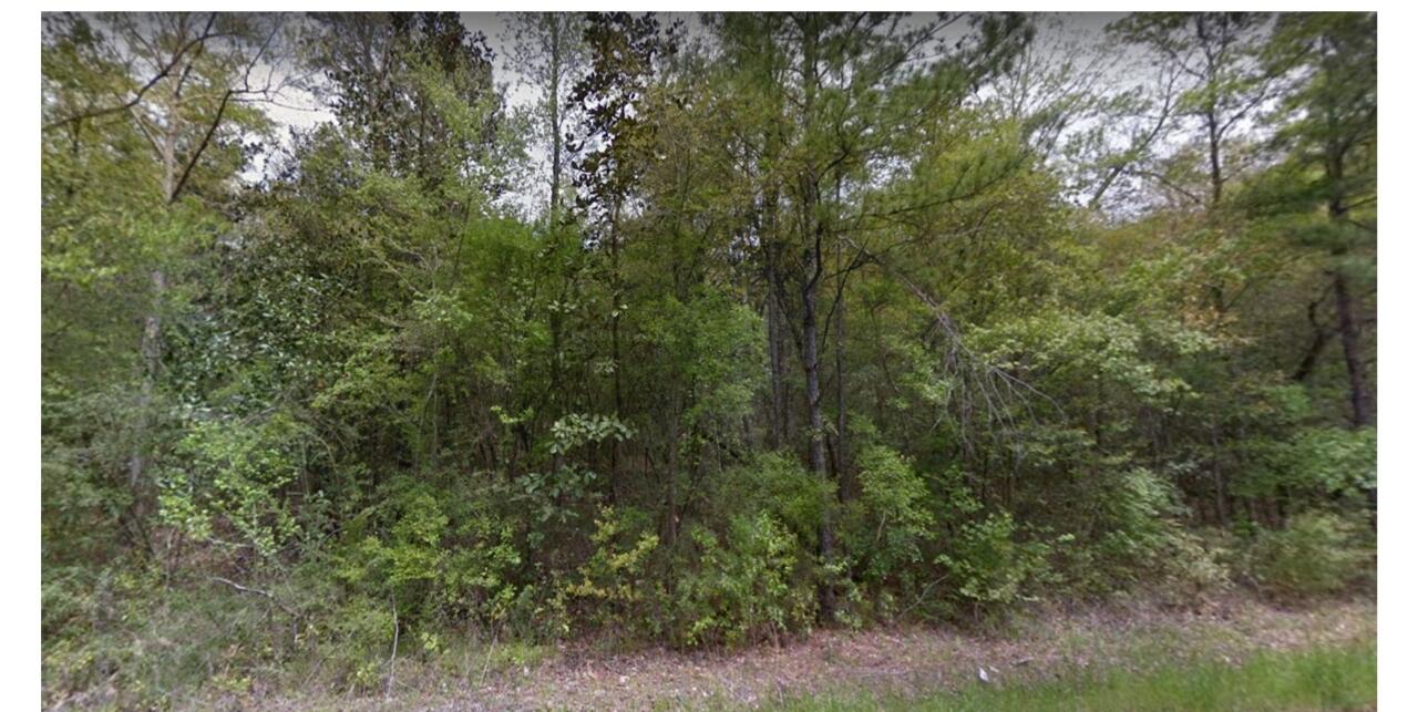 0 Crowder Chapel Road DeFuniak Springs, FL 32433 - Photo 7 of 20