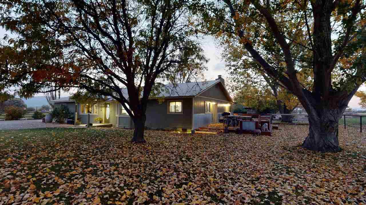 a view of a couches in a back yard