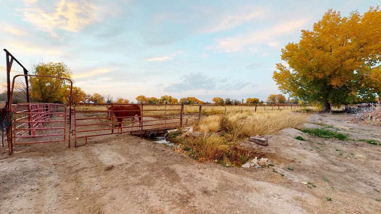 919 21 Road Fruita, CO 81521 - Photo 24 of 27 a view of a lake view