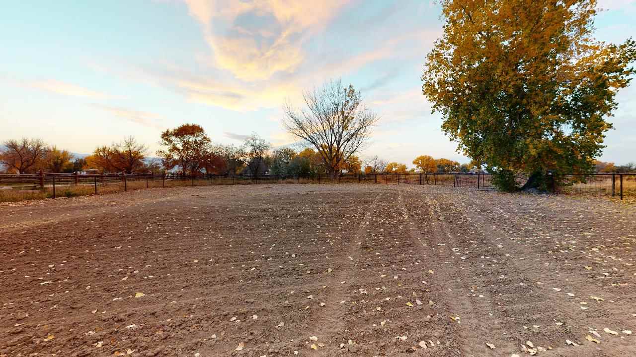 919 21 Road Fruita, CO 81521 - Photo 26 of 27 a view of a field with trees in background