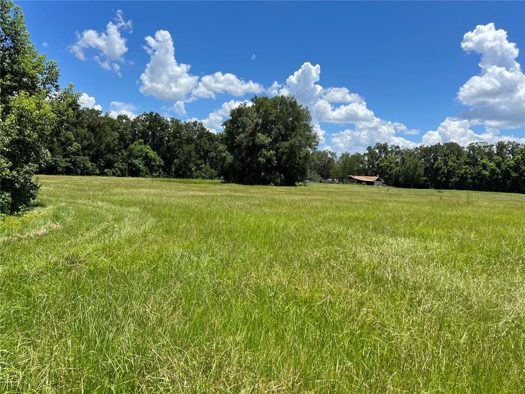 5500 Southeast 24th Street Ocala, FL 34480 - Photo 3 of 13