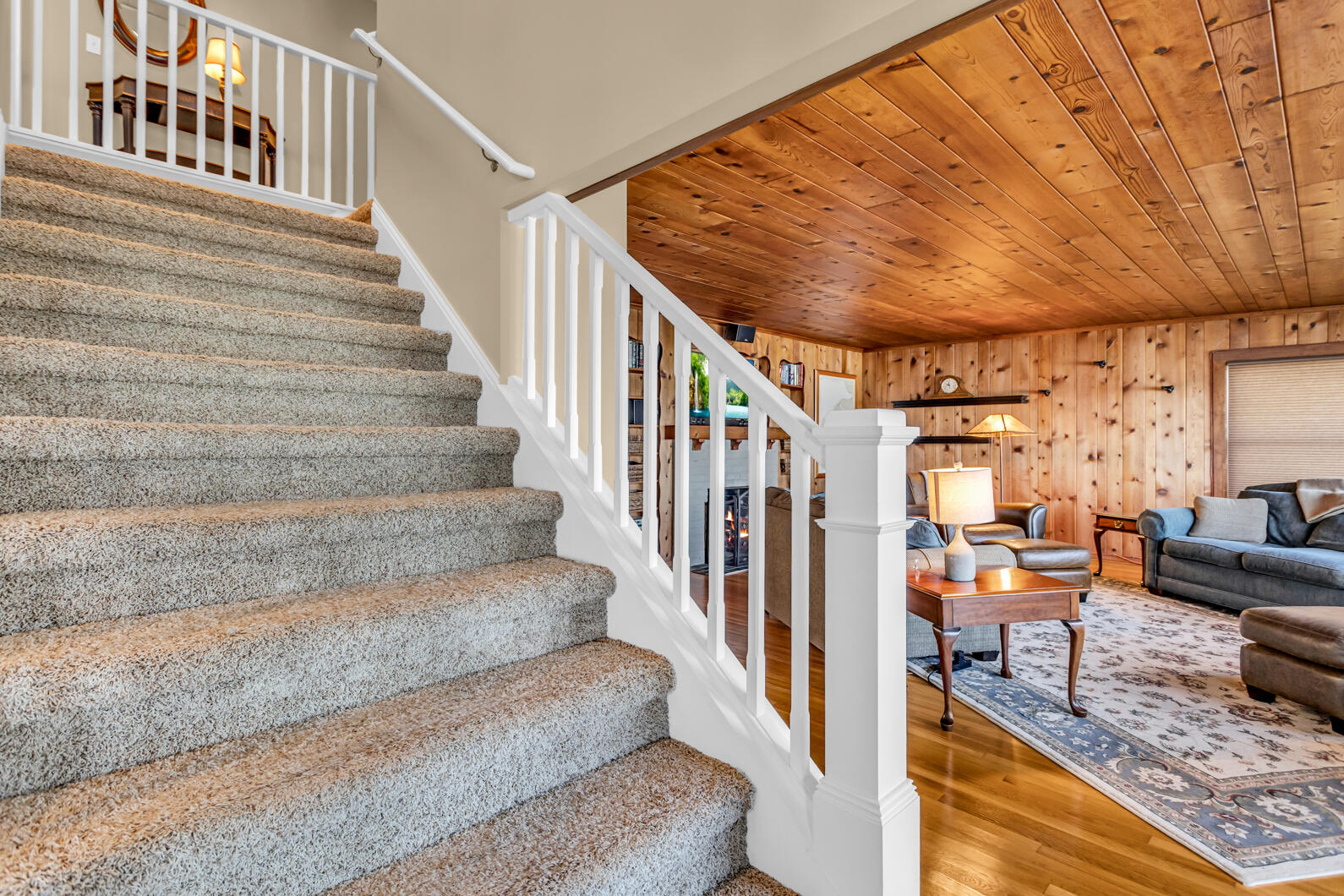 1620 Cottage Grove Street Manitou Beach, MI 49253 - Photo 41 of 92 0N0A3643