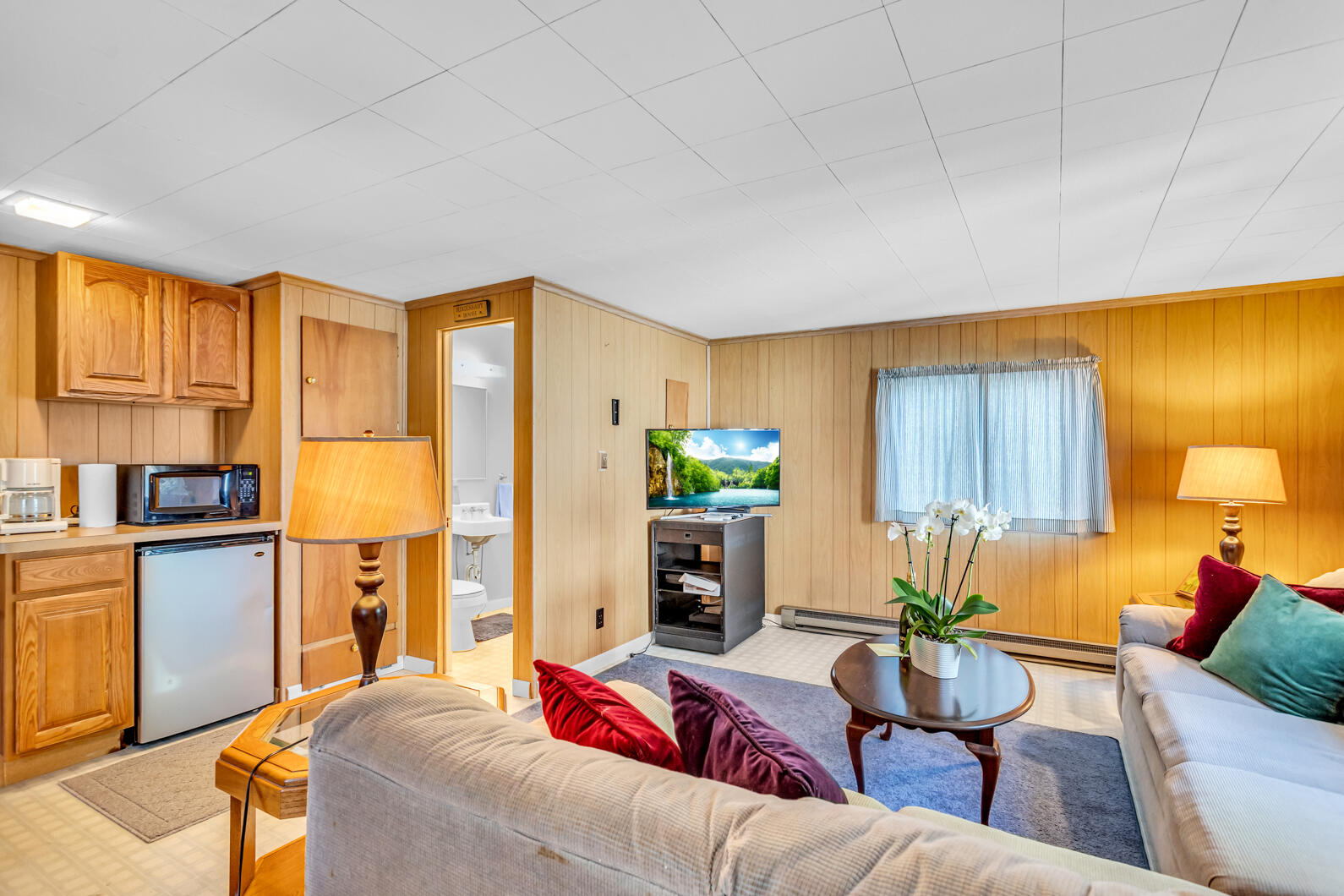 1620 Cottage Grove Street Manitou Beach, MI 49253 - Photo 86 of 92 0N0A3781