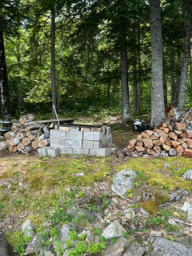 0 Buckman Island Princeton, ME 04668 - Photo 23 of 25 thumbnail (2)