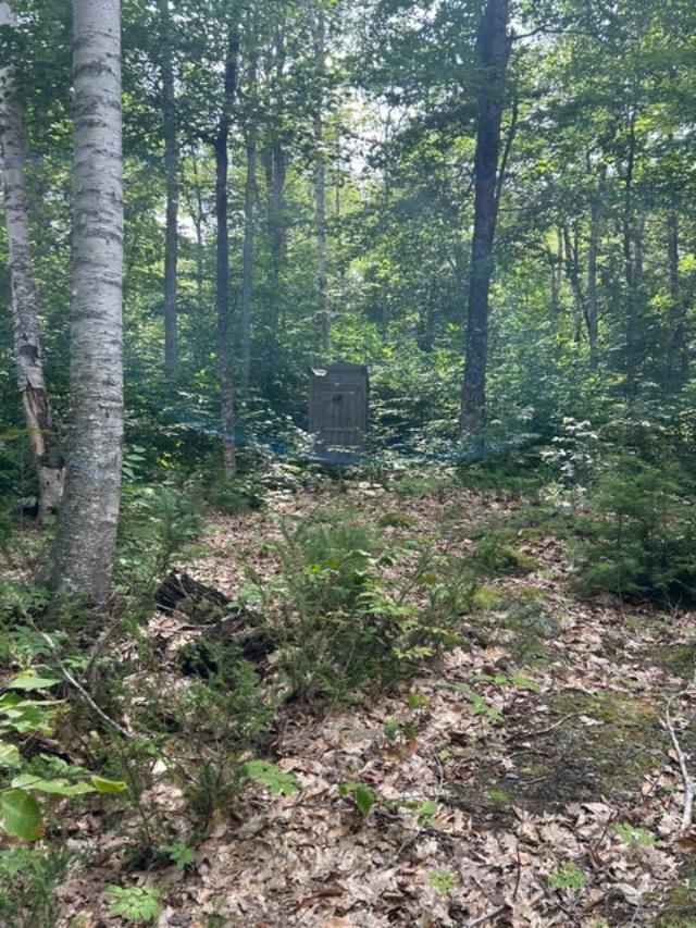 0 Buckman Island Princeton, ME 04668 - Photo 24 of 25 thumbnail (6)