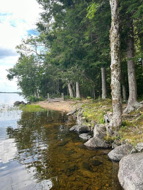 0 Buckman Island Princeton, ME 04668 - Photo 3 of 25 IMG_0394