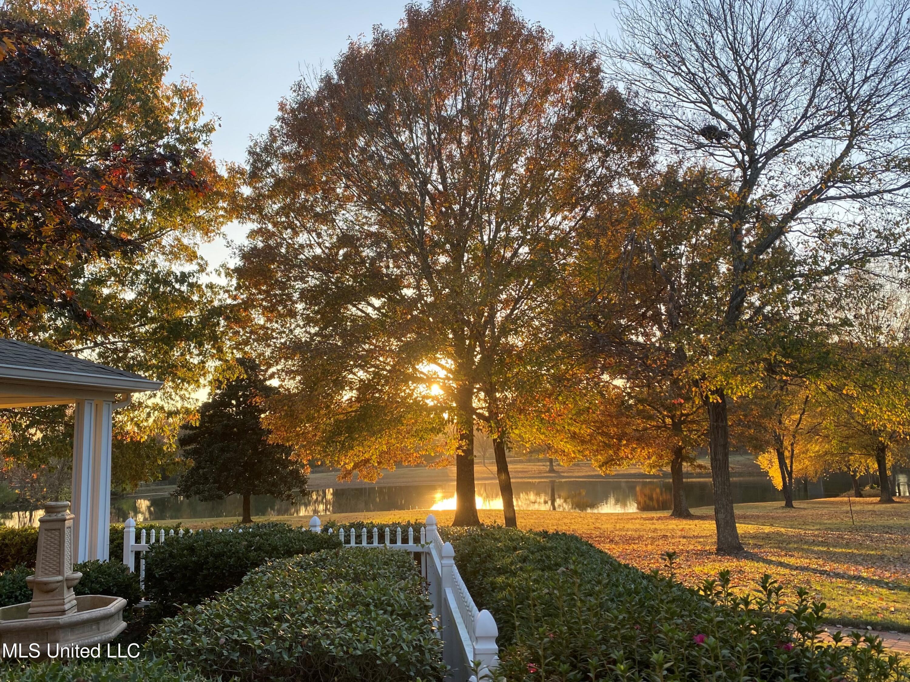 7300 Davidson Road Olive Branch, MS 38654 - Photo 40 of 55 Sunset Over the Lake in Fall