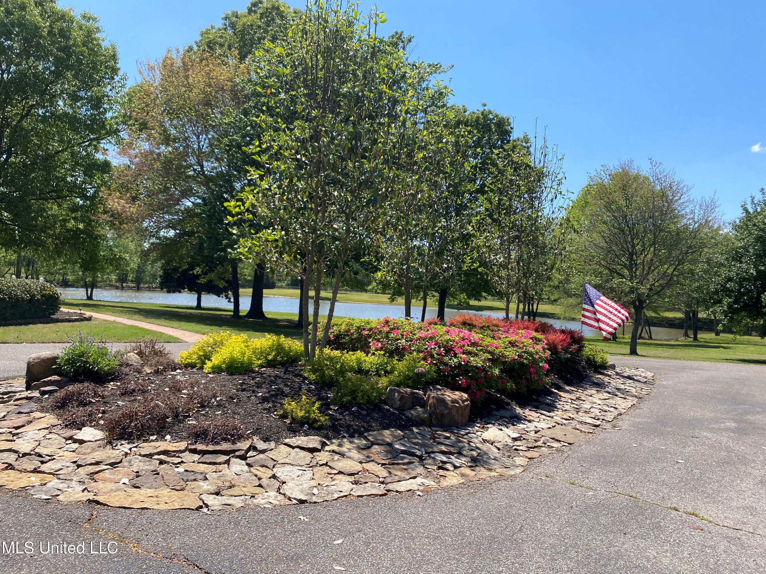 7300 Davidson Road Olive Branch, MS 38654 - Photo 41 of 55 Driveway Landscape Island in Spring