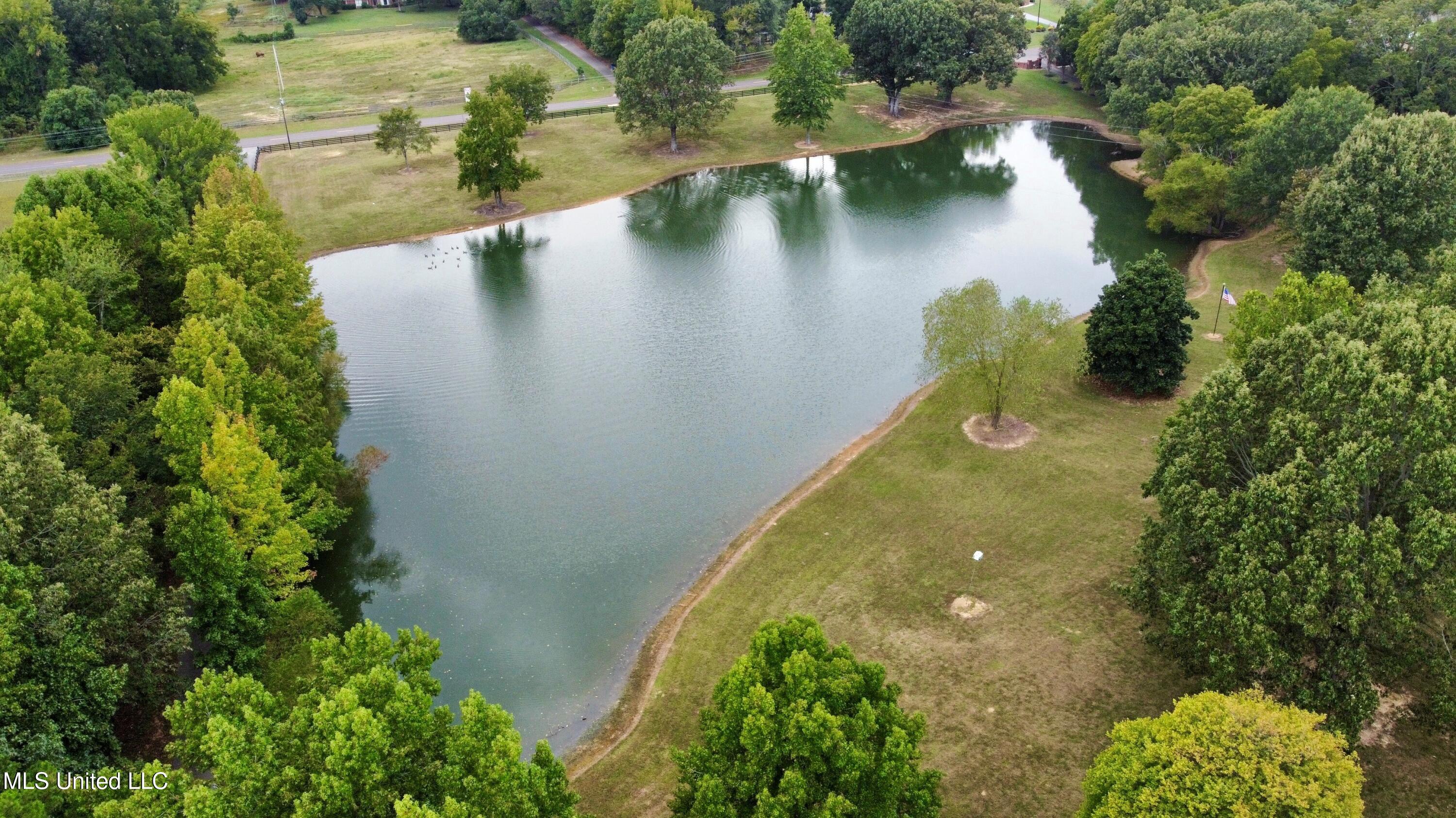 7300 Davidson Road Olive Branch, MS 38654 - Photo 43 of 55 Private Lake on Property