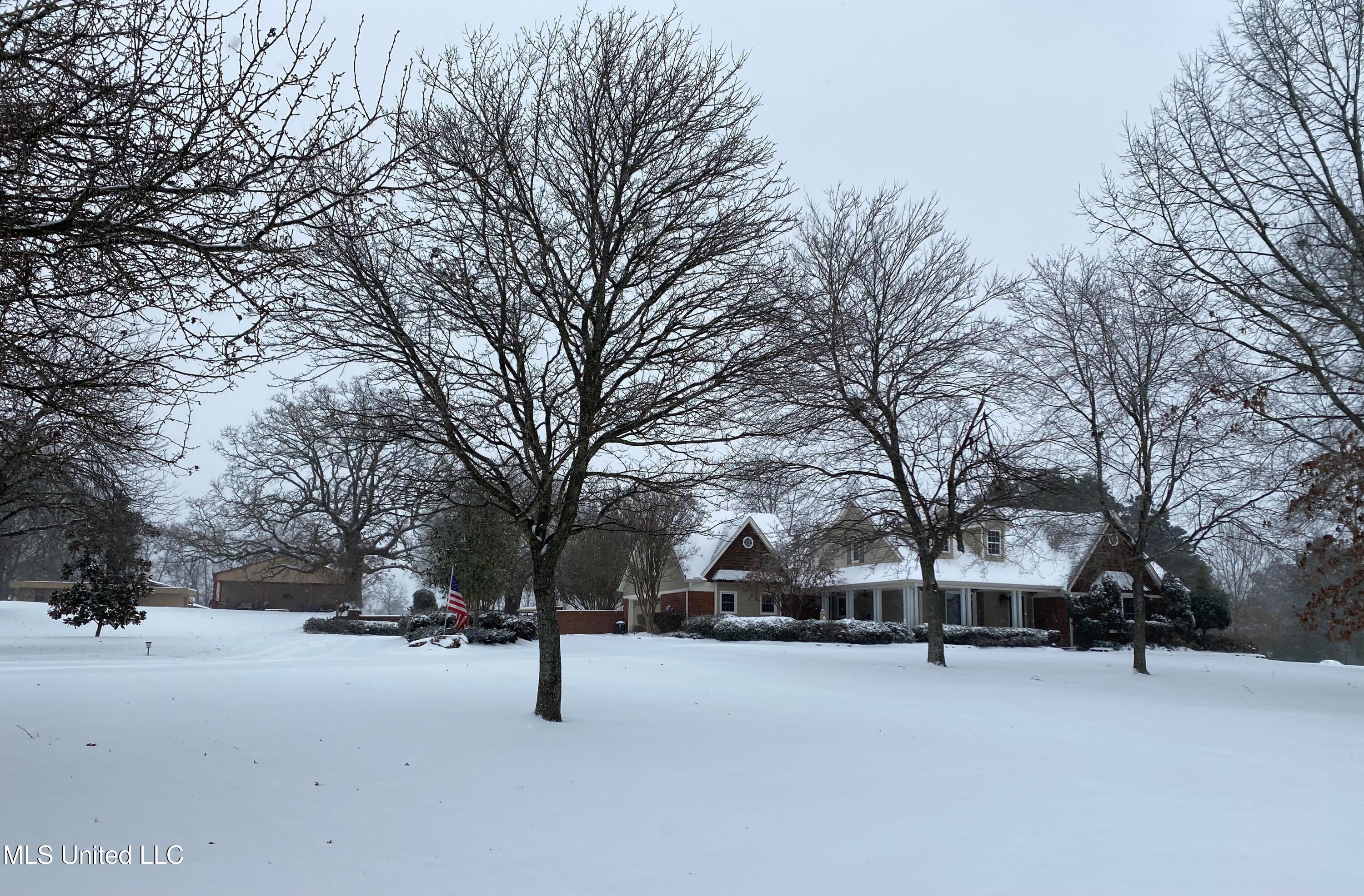 7300 Davidson Road Olive Branch, MS 38654 - Photo 54 of 55 Front of Home in Winter